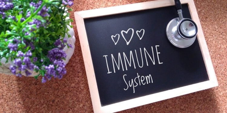 immune system