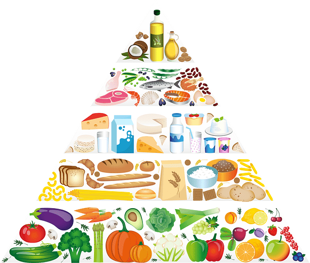 Healthy Food Pyramid
