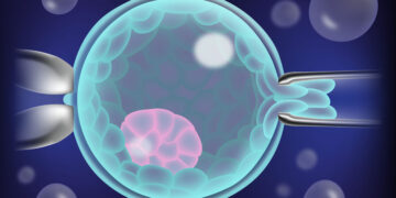 How is an embryo biopsy performed?