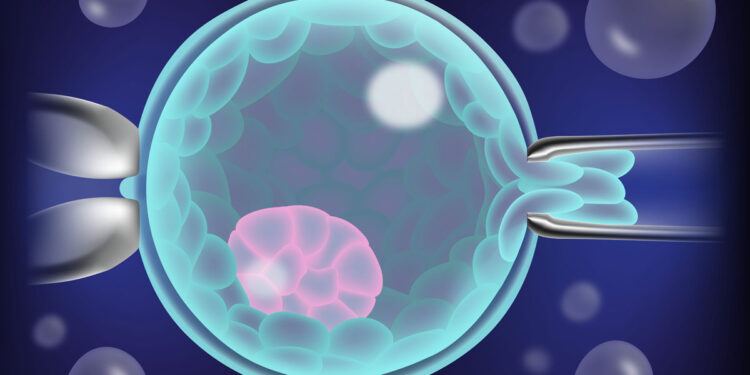 How is an embryo biopsy performed?