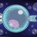 How is an embryo biopsy performed?