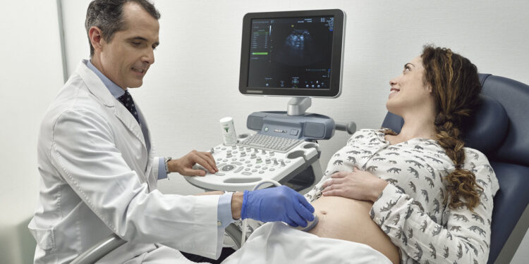 Maternal-fetal ultrasound in assisted reproduction gestations