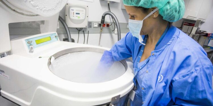 Why is it important to vitrify oocytes and / or embryos?