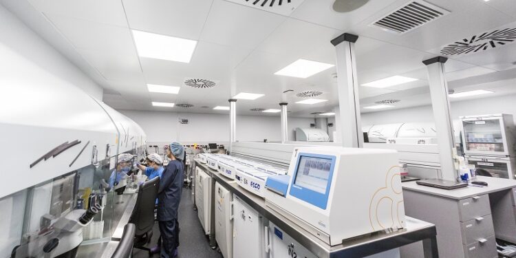 Artificial Intelligence in embryo selection, reality thanks to IVI