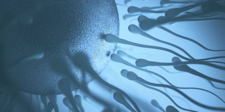 Demonstrated greater predisposition of the father to have a child with autism