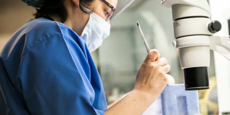 IVI Achieves Advances for Safety and Success in Assisted Reproduction