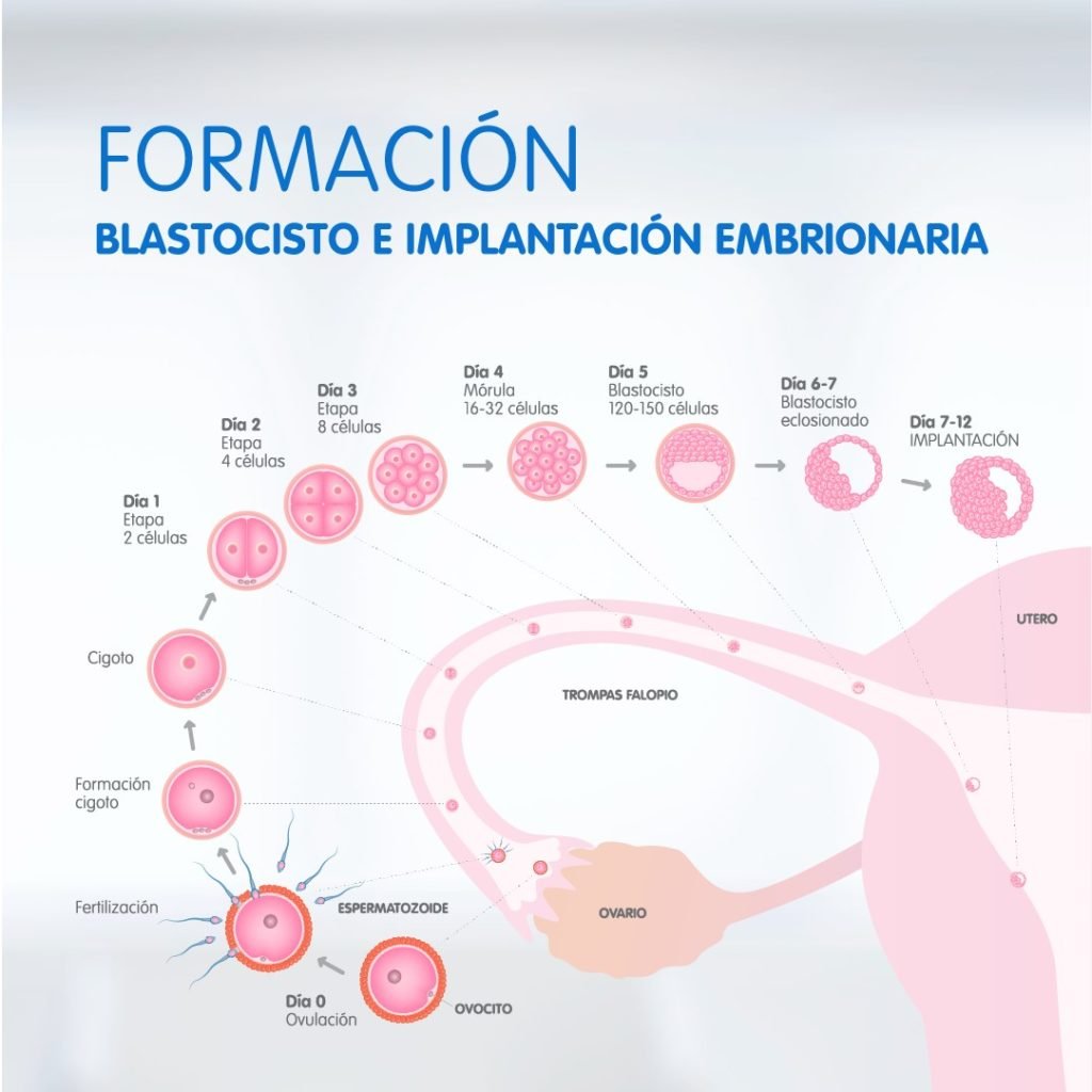 Implantation bleeding