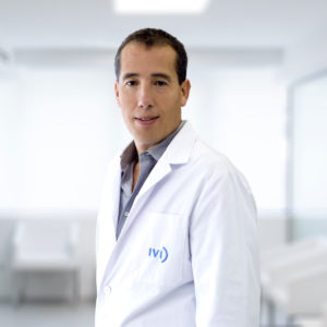 Maternal-fetal ultrasound in IVI 