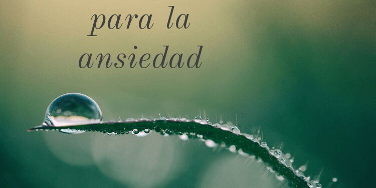 Mindfulness for stress and anxiety