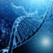 What are the benefits of genetically testing my embryos?