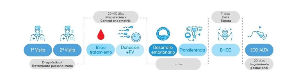 IVI Procedure-Ovodon