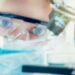 Bioengineering, key to increasing the success rates of reproductive treatments