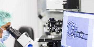 SET: Healthy mother and baby, goal of assisted reproduction