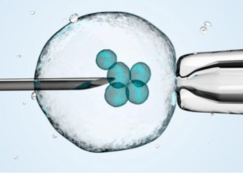 What is IVF Treatment, Who Is It Applied to, How Does the Process Work?