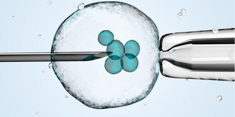 What is IVF Treatment, Who Is It Applied to, How Does the Process Work?