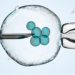 What is IVF Treatment, Who Is It Applied to, How Does the Process Work?