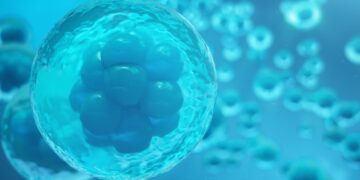 Assisted hatching increases the pregnancy rate in the face of embryonic collapse