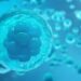 Assisted hatching increases the pregnancy rate in the face of embryonic collapse