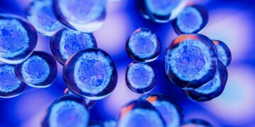 Balance of IVI studies presented at the SEF Congress