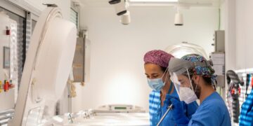 What happens to the accumulated and undestined embryos?