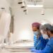 What happens to the accumulated and undestined embryos?