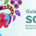 IVI launches an SOP guide