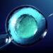Artificial Intelligence in Assisted Reproduction and mother-embryo dialogue