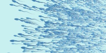 Does diabetes affect male fertility?