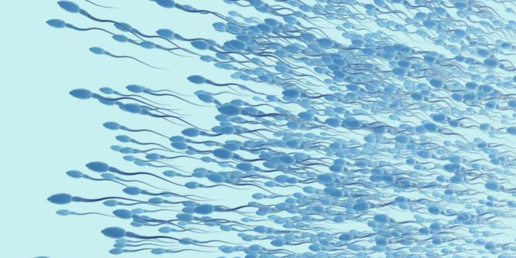 Does diabetes affect male fertility?