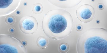 Three investigations in assisted reproduction awarded at the SRI
