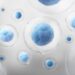 Three investigations in assisted reproduction awarded at the SRI