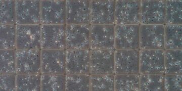 Has semen quality declined in the last 20 years?
