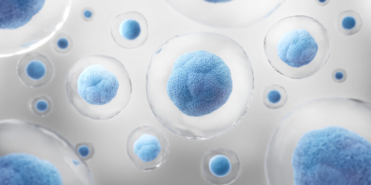 Three investigations in assisted reproduction awarded at the SRI