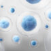Three investigations in assisted reproduction awarded at the SRI