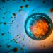 Artificial intelligence in embryos