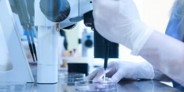 Creation of artificial embryos without eggs or sperm