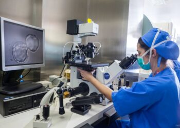 Types of fertility treatment that we carry out at IVI