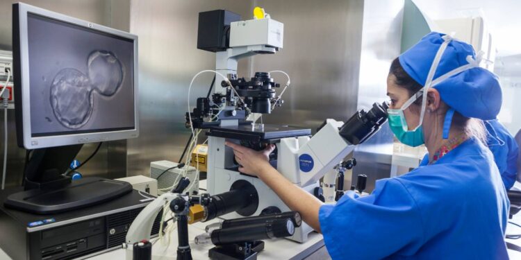 Types of fertility treatment that we carry out at IVI